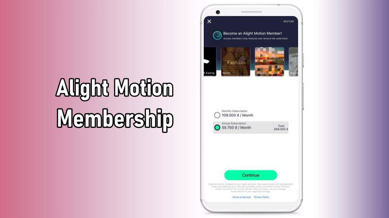 Alight Motion membership