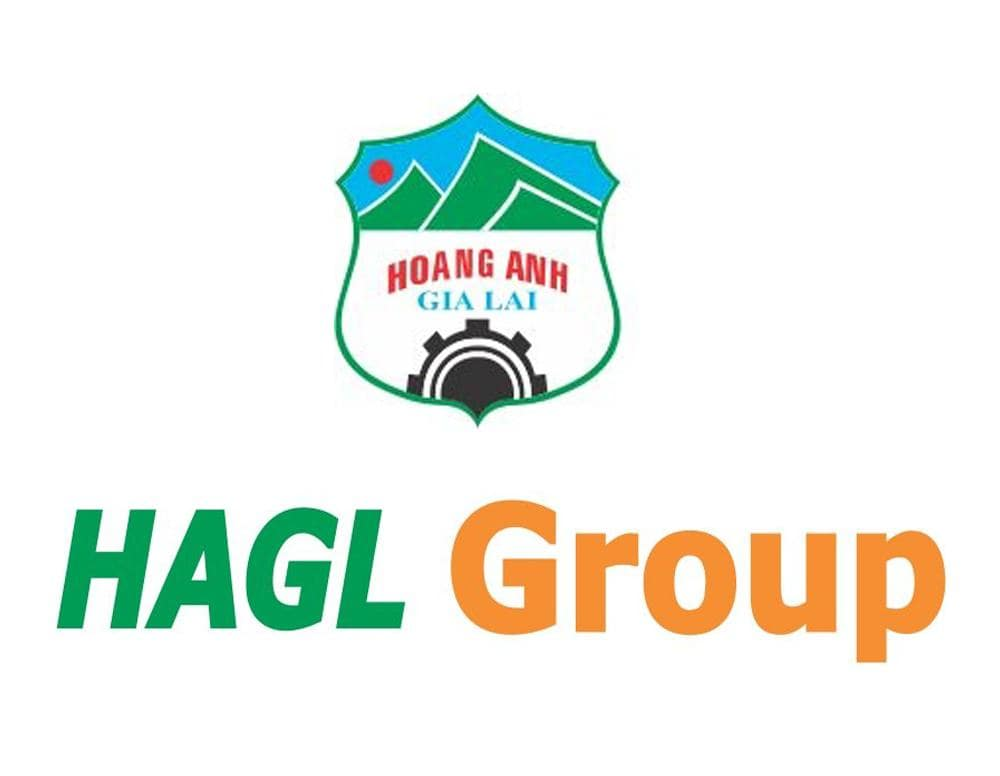 Giới thiệu chung về HAGL Group